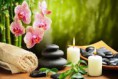 /album/fotografii-maya/images-1-zen-jpg/